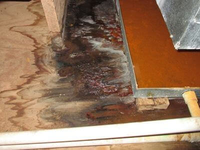 About water damage restoration service - emergency water extraction services experts in Portland