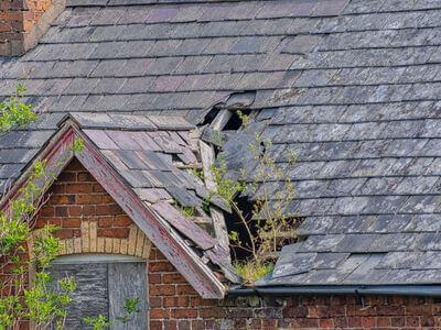 Professional emergency water extraction services services in Portland